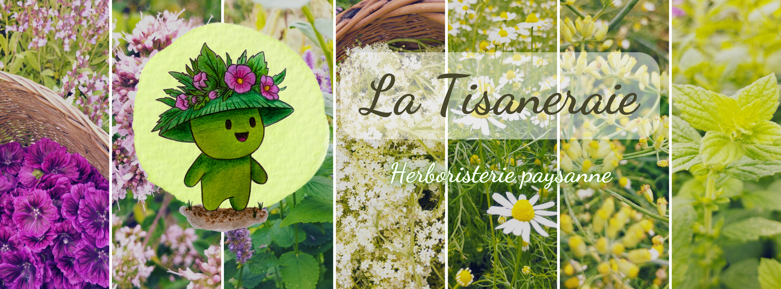 Bannière tisaneraie